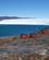 214 Hytter Med Direkte Udsigt Til Eqi Isbraeen Glacier Lodge Eqi Groenland Anne Vibeke Rejser 328