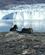 500 Et Par Polarraeve Ved Cafe Victor Glacier Lodge Eqi Groenland Anne Vibeke Rejser DSC01999
