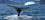 300 Hvalsafari Ved Ilulissat Groenland Anne Vibeke Rejser DSC04780