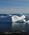 100 Isbjerge Ved Ilulissat Groenland Anne Vibeke Rejser DSC04364