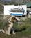215 Slaeder Og Hunde I Alle Stoerrelser Sisimiut Groenland Anne Vibeke Rejser IMG 6061