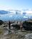 410 Vandretur Langs Iisfjorden Ilulissat Groenland Anne Vibeke Rejser IMG 6089