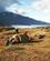 202 Lejr I Mellemlandet Narsarsuaq Groenland Anne Vibeke Rejser 13