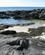 906 Strandsoeer Med Lavt Vand Andoeya Nordland Norge Anne Vibeke Rejser IMG 6704
