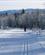 604 Let Tur I Skoven Golsfjellet Gol Hallingdal Norge Anne Vibeke Rejser IMG 4987