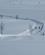 198 Fjeldet Omkring Gomobu Fjellstue Er Ideelt Til Lettere Langrendsture Gomobu Vaset Valdres Norge Anne Vibeke Rejser IMG 4411
