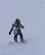 620 Nedtur Paa Snowboard Hindseter Fjellhotel Jotunheim Norge Anne Vibeke Rejser Billede 188