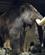 121 Mammut Var En Elefantart Som Levede Her I Fortiden Norsk Fjellmuseum Lom Gudbrandsdalen Norge Anne Vibeke Rejser IMG 5655