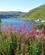 105 Akkafjord Ligger Ved En Mindre Fjord Soeroeya Troms Norge Anne Vibeke Rejser IMG 2542