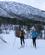600 Veninderne Faar Sludret Undervejs Geilo Hallingdalen Norge Anne Vibeke Rejser IMG 5119