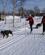 604 Lidt Lettere Med Hund I Sele Geilo Hallingdalen Norge Anne Vibeke Rejser IMG 5133