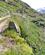 173 Masser Af Forskellige Fjeldblomster Langs Cykelruten Rallarvegen Bergenbanen Norge Anne Vibeke Rejser