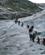 636 Flere Grupper Vandrer Paa Breen Jostedalen Norge Anne Vibeke Rejser IMG 5983