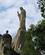 1520 Kristusfiguren Paa Monte Urgull San Sebastian Baskerlandet Spanien Anne Vibeke Rejser IMG 3520