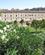 1732 Parkanlaeg Palacio Aljaferia Zaragoza Aragonien Spanien Anne Vibeke Rejser IMG 3673