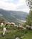 125 Faar Græsser I Bjergene Sierra Nevada Andalusien Spanien Anne Vibeke Rejser IMG 3086