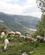 125 Faar Græsser I Bjergene Sierra Nevada Andalusien Spanien Anne Vibeke Rejser IMG 3086