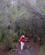 400 I Skoven Ved Aguamansa Puerto De La Cruz Tenerife Spanien Anne Vibeke Rejser IMG 3620