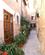 221 Potteplanter I Straederne Serra De Tramuntana Mallorca Spanien Anne Vibeke Rejser Billede 050