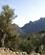 401 Gennem Sóellerdalen Serra De Tramuntana Mallorca Spanien Anne Vibeke Rejser Billede 005
