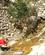 526 En Forfriskning Ved Vandloebet Nær Barranc De Biniarix Serra De Tramuntana Mallorca Spanien Anne Vibeke Rejser Billede 062