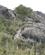 716 Vild Bjergged Serra De Tramuntana Mallorca Spanien Anne Vibeke Rejser Billede 018
