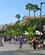 102 Strandpromenaden Los Cristianos Tenerife De Kanariske Oeer Spanien Anne Vibeke Rejser IMG 2808