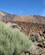 301 Kig Til Montana Blanca Paa Siden Af Teide Tenerife Spanien Anne Vibeke Rejser IMG 3240