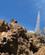 308 Grobund For Bl.A. Juvelslangehoved Teide Tenerife Spanien Anne Vibeke Rejser IMG 3260
