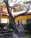 514 Besoeg I Patio La Laguna Tenerife Spanien Anne Vibeke Rejser IMG 3301