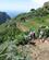 630 Sti Langs Terrasser I Chinamada Tenerife Spanien Anne Vibeke Rejser IMG 3374