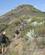 102 Mod Kanten Af Caldera De Bandama Gran Canaria Spanien Anne Vibeke Rejser IMG 4511