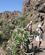 220 Paa Ruten Mod Cruz Grande Gran Canaria Spanien Anne Vibeke Rejser IMG 4573