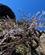 Spanien La Palma Kanariske Øer Roque De Los Muchachos Vulkan Foto Anne Vibeke Rejser 2023 (10)