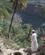 710 I Den Frodige Oase Al Misfah Oman Anne Vibeke Rejser IMG 6673