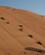 1314 Sama Al Wasil Desert Camp Ligger Taet Paa 80 Meter Hoeje Klitter Sharqiya Sands Oman Anne Vibeke Rejser IMG 6831