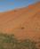 1315 Lidt Bevoksning I Sandet Naer Sama Al Wasil Desert Camp Sharqiya Sands Oman Anne Vibeke Rejser IMG 6832