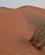 1334 Enkel Bevoksning Sharqiya Sands Oman Anne Vibeke Rejser IMG 6864