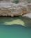 1512 Klipperne Spejles I Turkisfarvet Vand Wadi Shab Oman Anne Vibeke Rejser IMG 6924