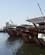 106 Dhow Træbåde I Dubasi Creek Dubai De Forenede Emirater Anne Vibeke Rejserdsc04168