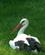 513 Stork Villa Pallavicino Stresa Lago Maggiore Pimonte Italien Anne Vibeke Rejser DSC09603