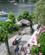 819 Venter Paa Baaden Pescatori De Borromeiske Oeeer Lago Maggiore Stresa Pimonte Italien Anne Vibeke Rejser IMG 8919