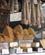1202 Vidunderlige Oste Stresa Lago Maggiore Pimonte Italien Anne Vibeke Rejser IMG 9124