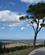 509 Udsigt Fra Det Hoejtliggende Castel Del Monte Andria Apulien Italien Anne Vibeke Rejser IMG 9876