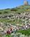 216 Rundt Mellem Tharros Ruinerne Tharros Sinis Sardinien Italien Anne Vibeke Rejser IMG 5762