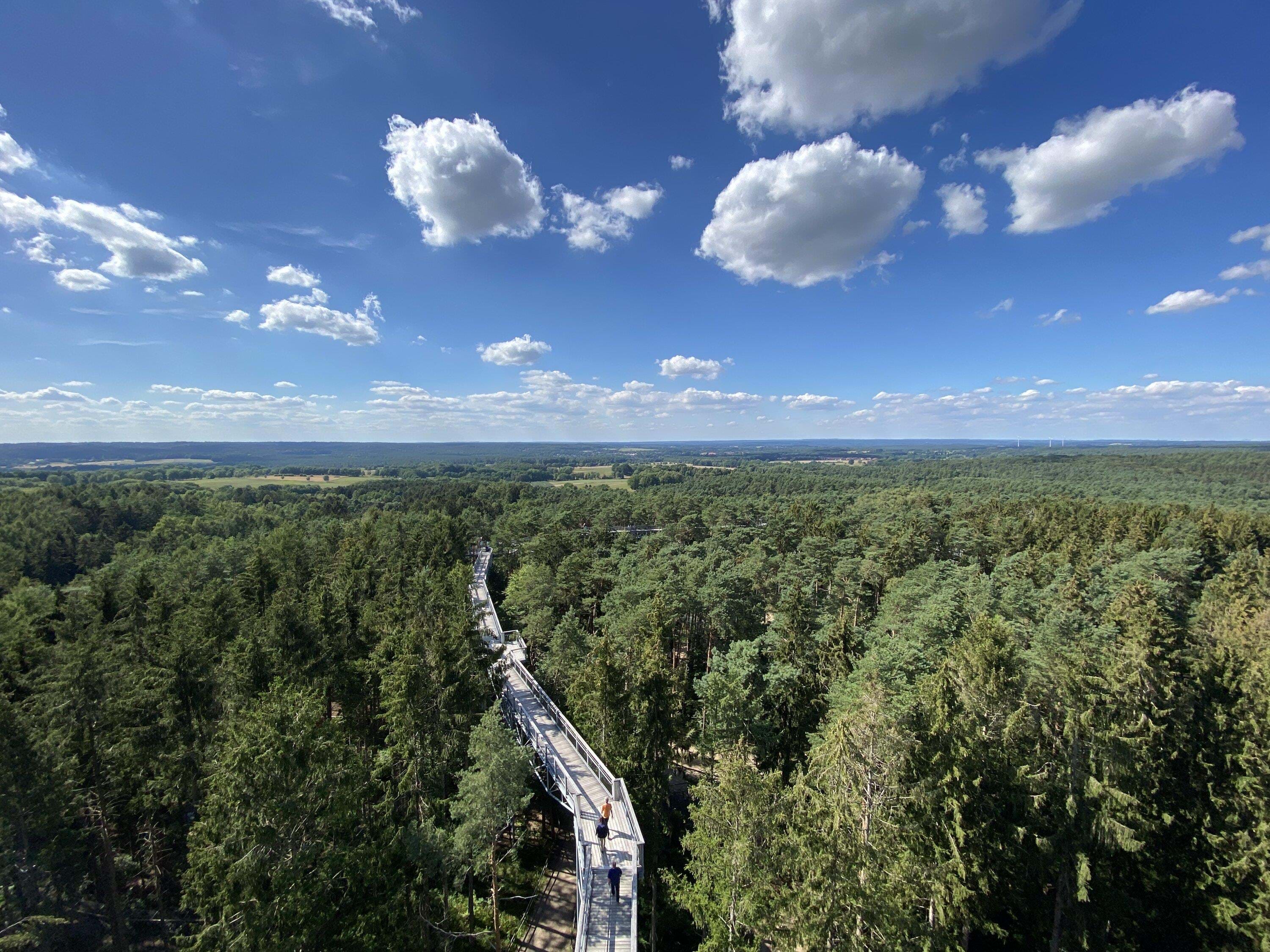 Tyskland Niedersachsen Heide Himmel Lüneburger Heide Foto Anne Vibeke Rejser 2022