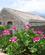 200 Agriturismo Le Sciarelle Sicilien Italien Anne Vibeke Rejser IMG 4810