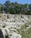 515 Ruin Af Siddepladser Ved Det Romerske Amfiteater Neapolis Arkaeologiske Park Siracusa Sicilien Italien Anne Vibeke Rejser IMG 4988