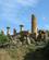 722 Sammenstyrtede Templer Tempeldalen Agrigento Sicilien Italien Anne Vibeke Rejser IMG 5164