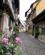 704 Bindingsvaerksidyl I Rue De Rempart Sud Eguisheim Alsace Frankrig Anne Vibeke Rejser IMG 9475